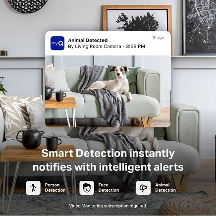 myQ app notification showing animal detected alert with dog on living room couch